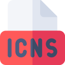 icns 