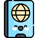 pasaporte icon