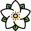 poinsettia icon