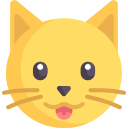 gato 