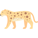 leopardo 