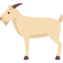 Goat 