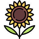 girasol icon