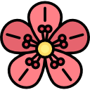 flor de cerezo 