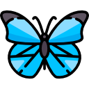 mariposa icon