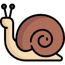 caracol 