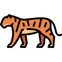 tigre icon