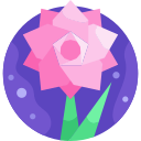 rosa icon