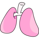 pulmones icon