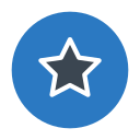 estrella icon