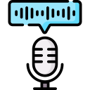 audio icon