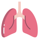 pulmones icon