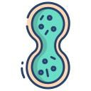 mitosis icon