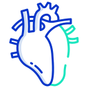 corazón icon