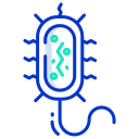 bacterias icon