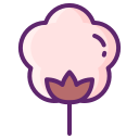 Cotton 