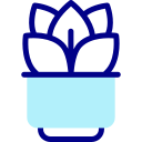 les plantes 