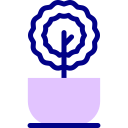 les plantes 