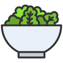 ensalada icon