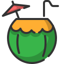 bebida de coco icon