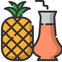 jugo de piña icon