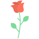 rosa icon