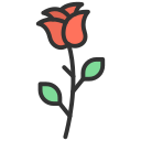 rosa icon