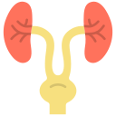 urología icon