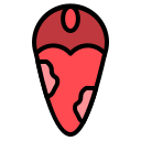 lengua icon