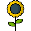 girasol icon