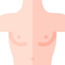 desnudo icon