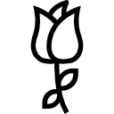 rosa icon