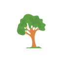 Árbol icon