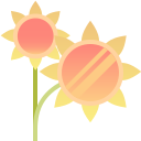 girasol icon