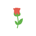 rosa icon