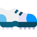 zapato icon