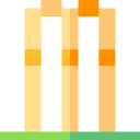 tocón de cricket icon