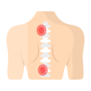 médula espinal 