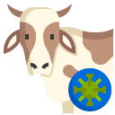 vaca icon