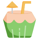 agua de coco icon