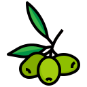 olivos icon