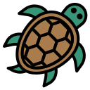 tortuga icon