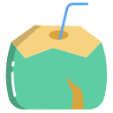 bebida de coco icon