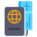 pasaporte icon