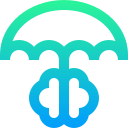 Brain icon