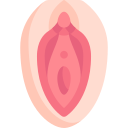 vagina icon