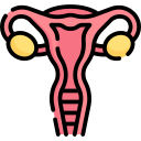 sistema reprodutivo 
