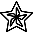 estrella de navidad icon