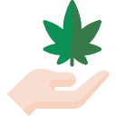 marijuana icon