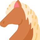 caballo icon